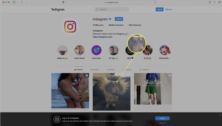 How to View and Use Instagram Without an Account
