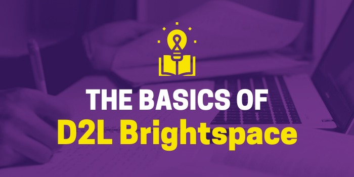 To Access D2L at Minnesota State University, use D2L Brightspace.